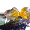 Crystal Decorative Bowl, Fish, Flow of Luck - LIULI Crystal Art