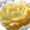 Collector Edition-Crystal Flower, Camellia, A Chinese Liuli Flower, Singular Elegance - LIULI Crystal Art