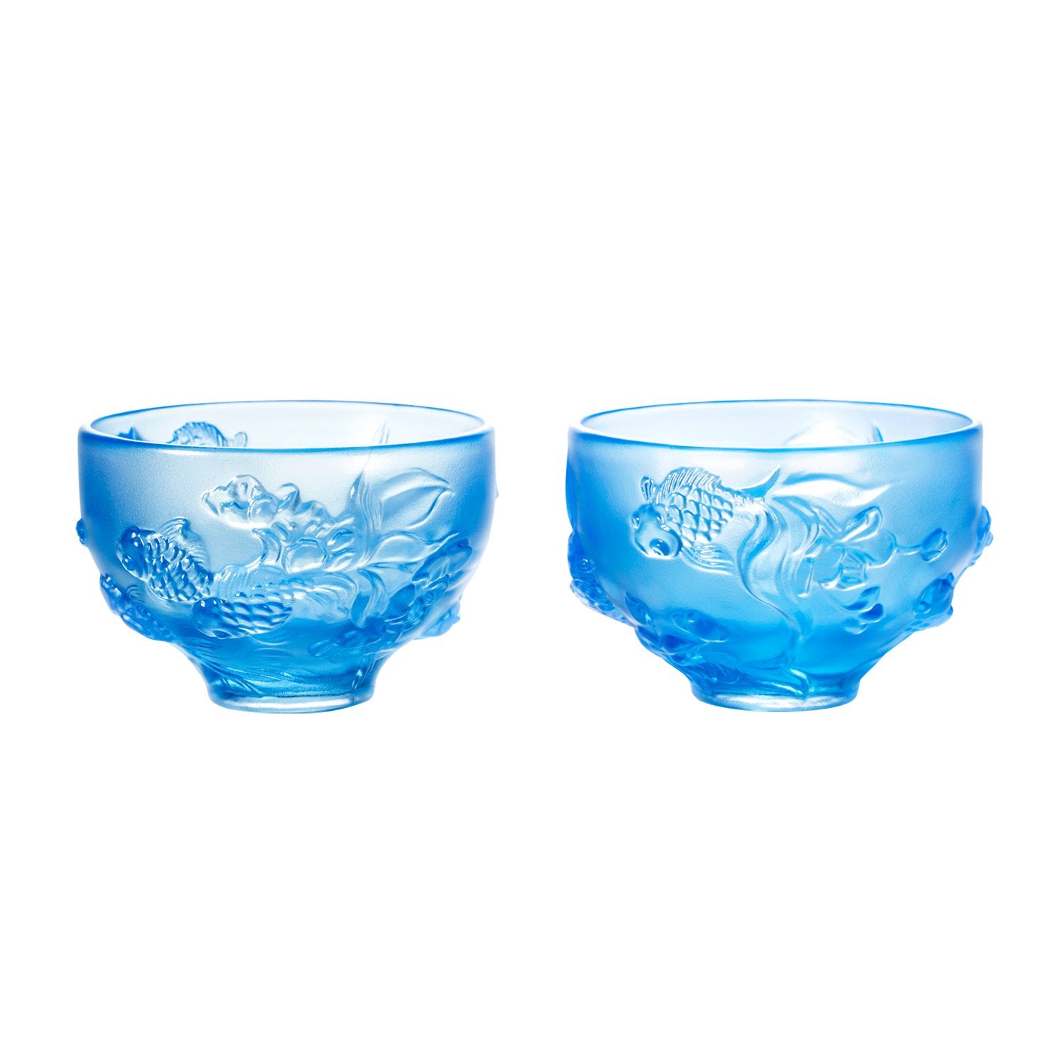 TheJoyofFish_blue_whitebackgro